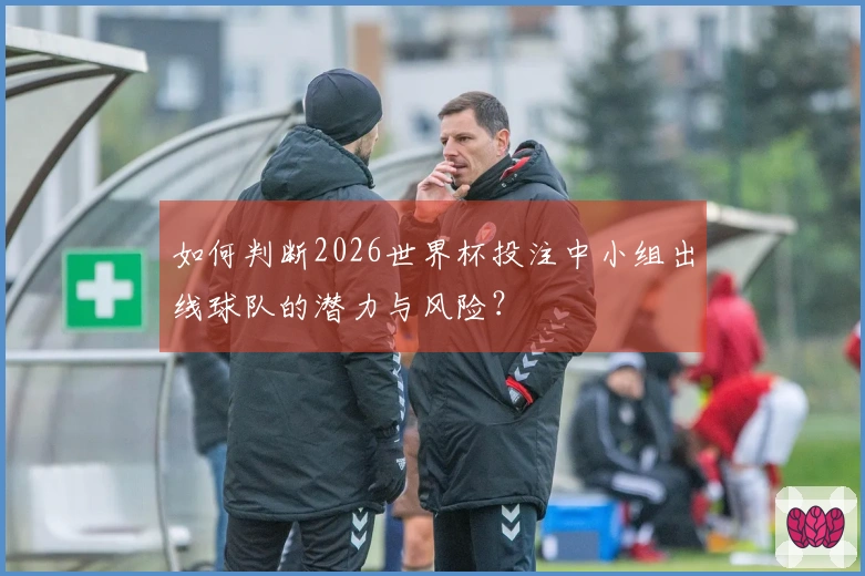 如何判断2026世界杯投注中小组出线球队的潜力与风险?