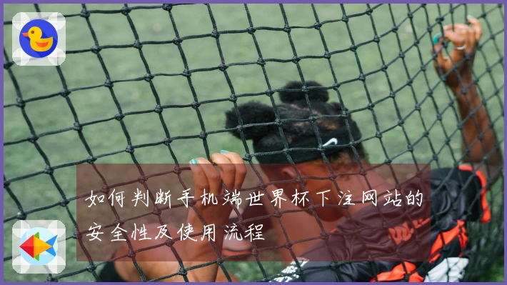 如何判断手机端世界杯下注网站的安全性及使用流程