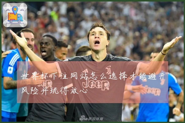 世界杯下注网站怎么选择才能避开风险并玩得放心