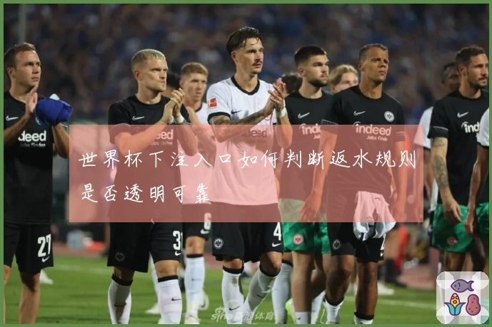 世界杯下注入口如何判断返水规则是否透明可靠