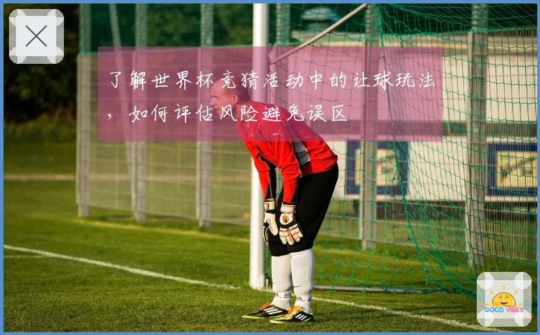 了解世界杯竞猜活动中的让球玩法，如何评估风险避免误区
