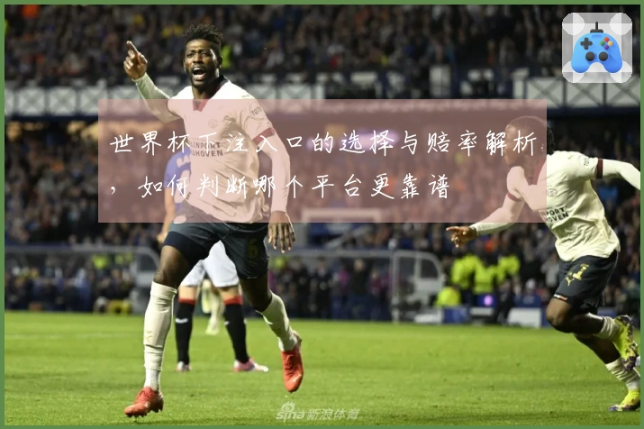 世界杯下注入口的选择与赔率解析,如何判断哪个平台更靠谱