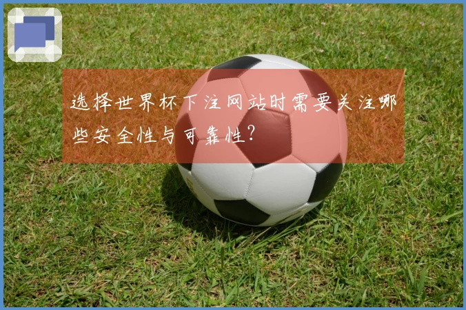 选择世界杯下注网站时需要关注哪些安全性与可靠性？