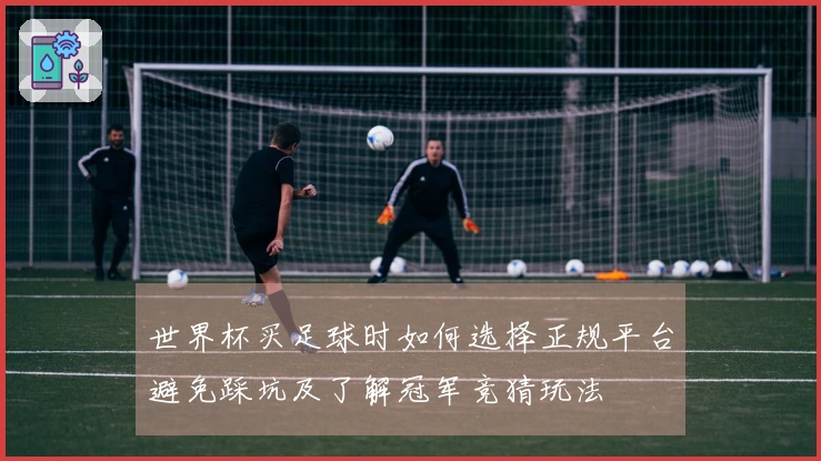 世界杯买足球时如何选择正规平台避免踩坑及了解冠军竞猜玩法