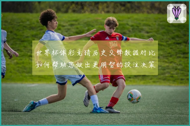 世界杯体彩竞猜历史交锋数据对比如何帮助您做出更明智的投注决策