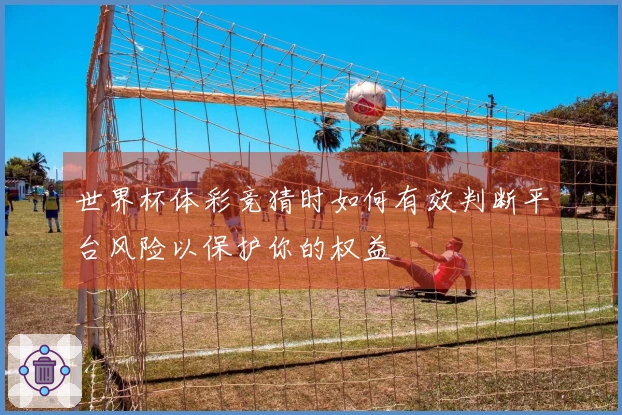 世界杯体彩竞猜时如何有效判断平台风险以保护你的权益