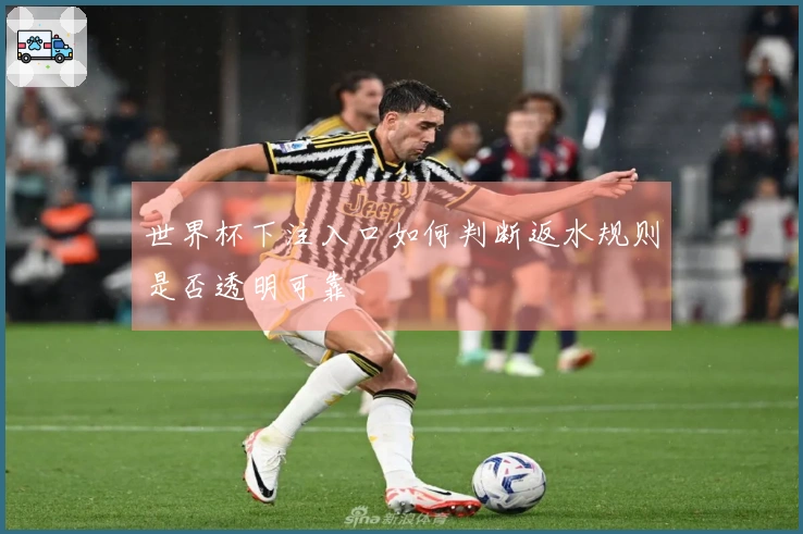 世界杯下注入口如何判断返水规则是否透明可靠