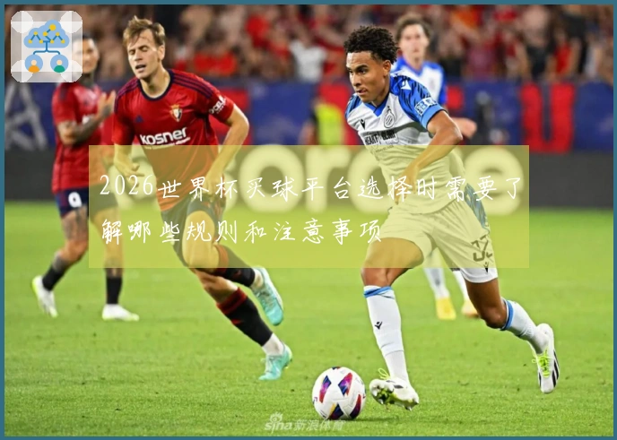 2026世界杯买球平台选择时需要了解哪些规则和注意事项
