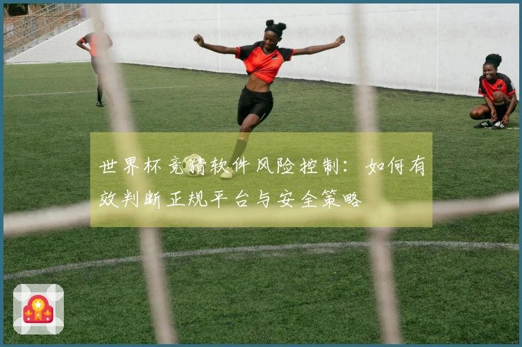 世界杯竞猜软件风险控制：如何有效判断正规平台与安全策略