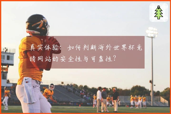 真实体验：如何判断海外世界杯竞猜网站的安全性与可靠性？