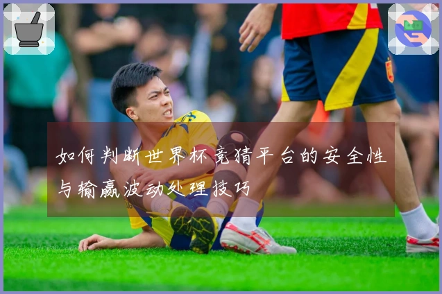 如何判断世界杯竞猜平台的安全性与输赢波动处理技巧