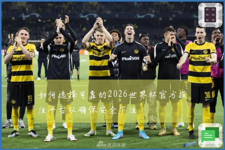 如何选择可靠的2026世界杯官方投注平台以确保安全下注