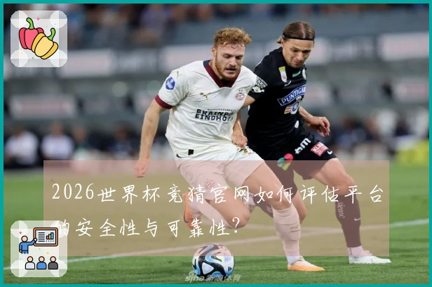 2026世界杯竞猜官网如何评估平台的安全性与可靠性？