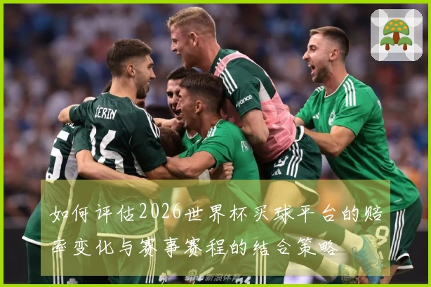 如何评估2026世界杯买球平台的赔率变化与赛事赛程的结合策略
