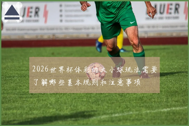2026世界杯体彩的大小球玩法需要了解哪些基本规则和注意事项