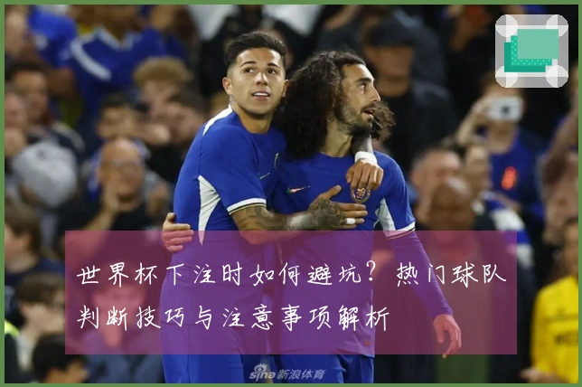 世界杯下注时如何避坑？热门球队判断技巧与注意事项解析