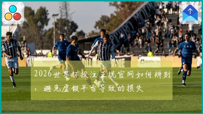 2026世界杯投注正规官网如何辨别，避免虚假平台导致的损失