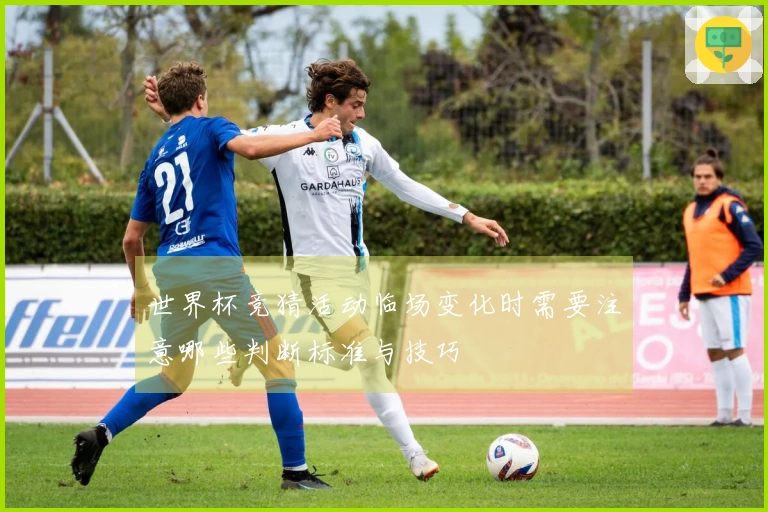 世界杯竞猜活动临场变化时需要注意哪些判断标准与技巧
