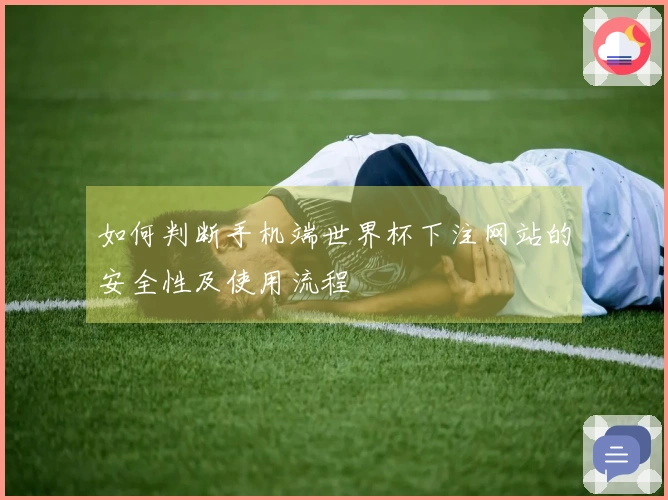 如何判断手机端世界杯下注网站的安全性及使用流程