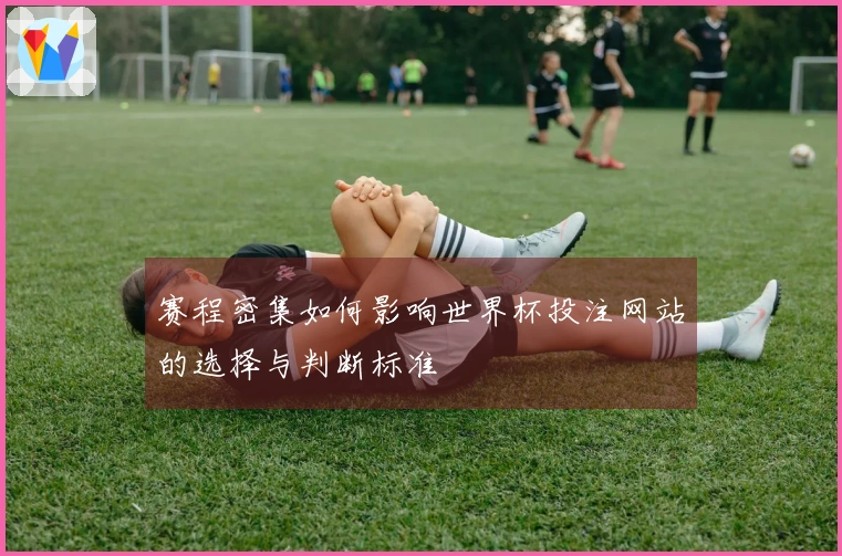 赛程密集如何影响世界杯投注网站的选择与判断标准