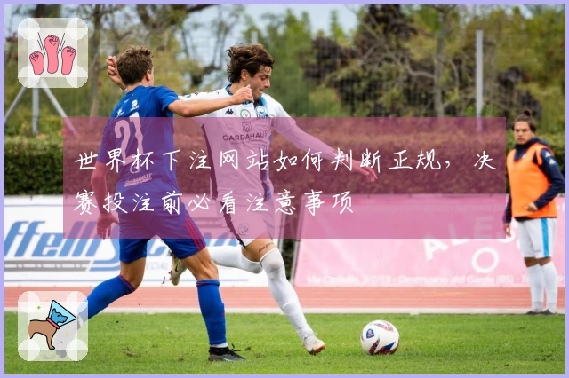 世界杯下注网站如何判断正规，决赛投注前必看注意事项