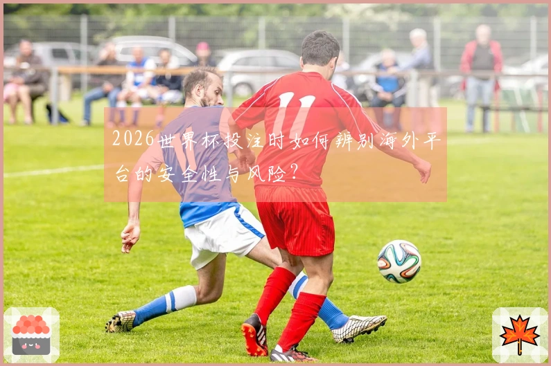2026世界杯投注时如何辨别海外平台的安全性与风险？