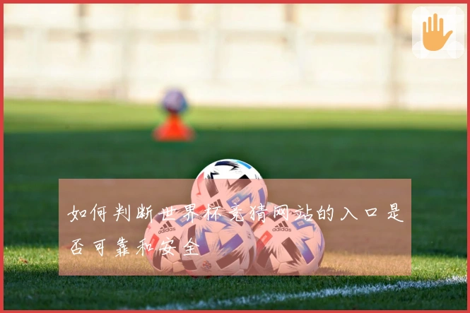 如何判断世界杯竞猜网站的入口是否可靠和安全