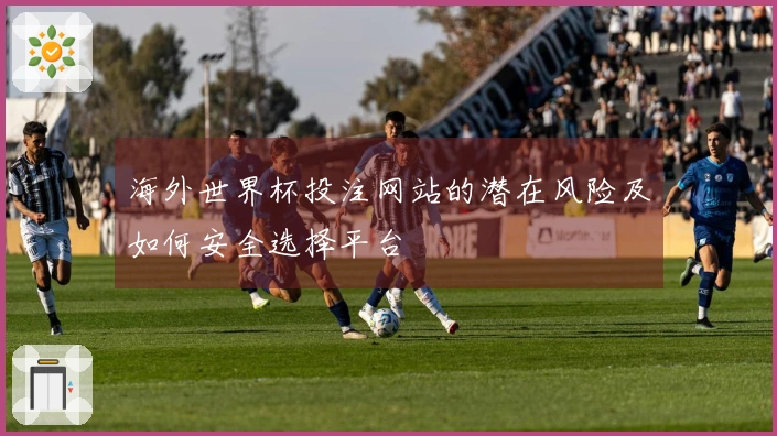 海外世界杯投注网站的潜在风险及如何安全选择平台